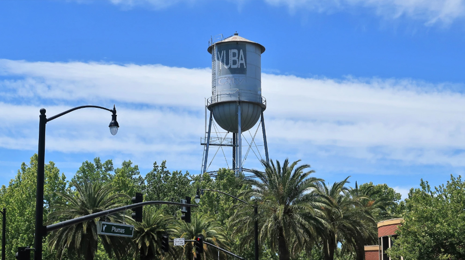 Web Design Growth in Yuba City